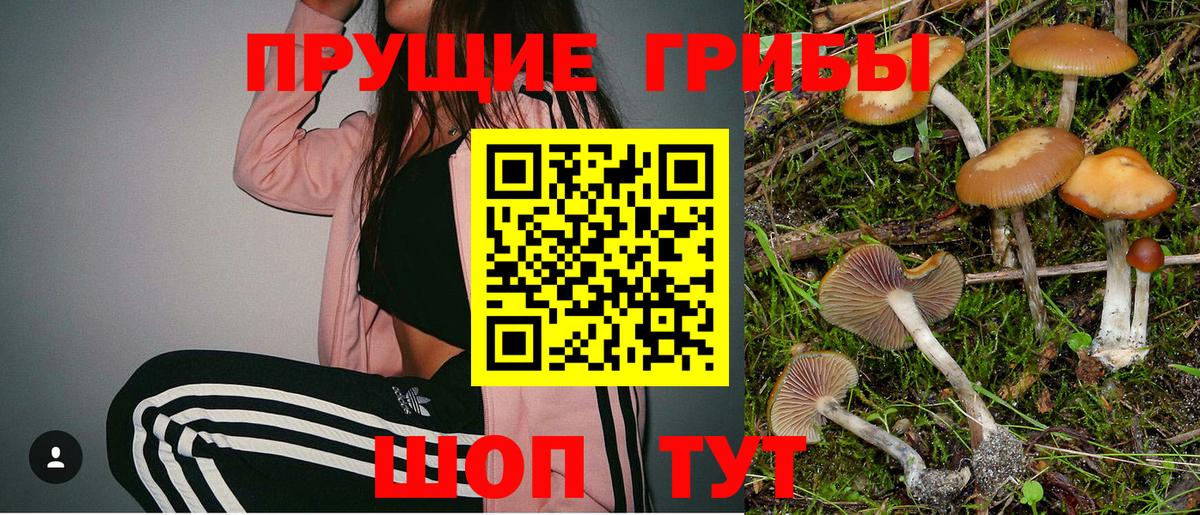 Псилоцибиновые грибы прущие грибы  Вход с VPN  купить наркотик  Мегион 