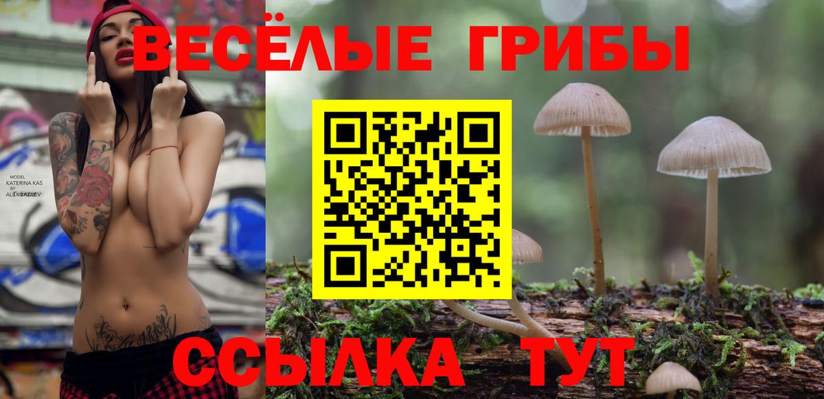 Галлюциногенные грибы MAGIC MUSHROOMS Мегион